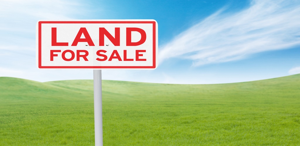 Buy Land in Georgia